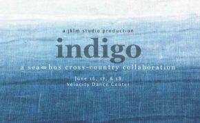 Indigo for VDC